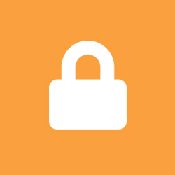 computer monitor with shield background